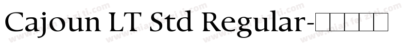 Cajoun LT Std Regular字体转换